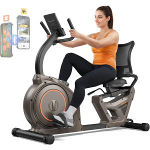 Niceday Recumbent Exercise Bike